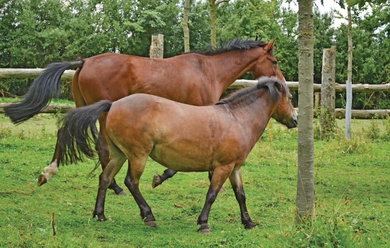 Gite De La Lombardie Lottinghen Экстерьер фото